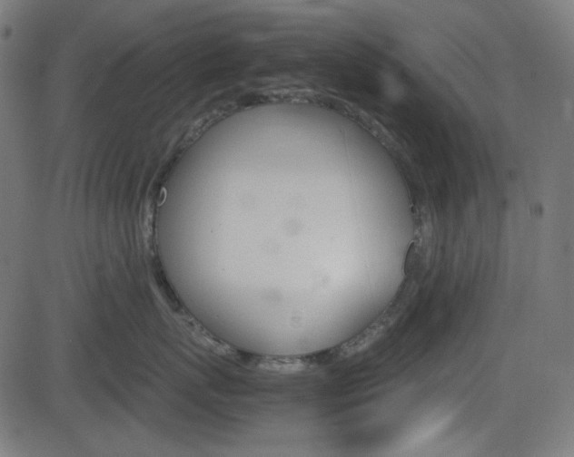 X0000082990767200702011144