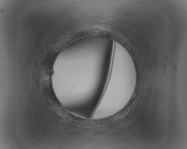X0000082990771200702011143