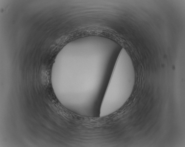 X0000082990772200702011143