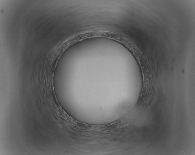 X0000082990773200702011143