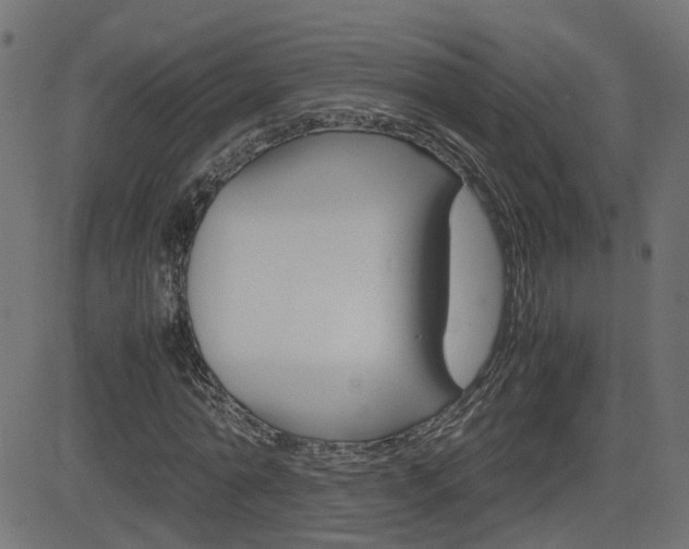 X0000082990774200702011143