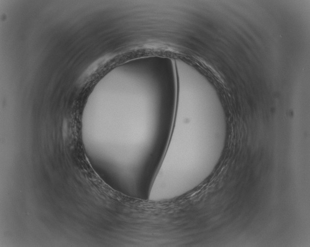 X0000082990776200702011143
