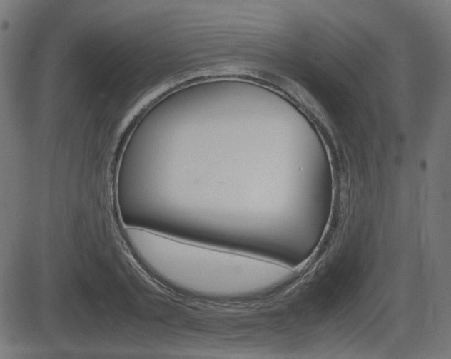 X0000082990789200702011143