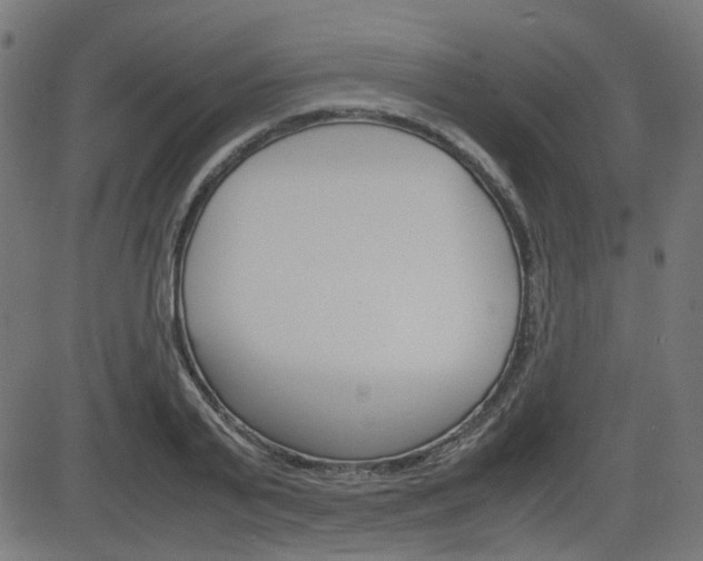 X0000082990791200702011143
