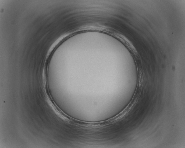 X0000082990796200702011143