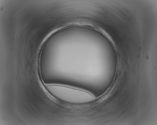 X0000082990803200702011142