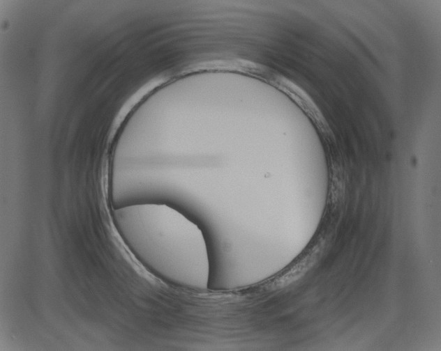 X0000082990804200702011142