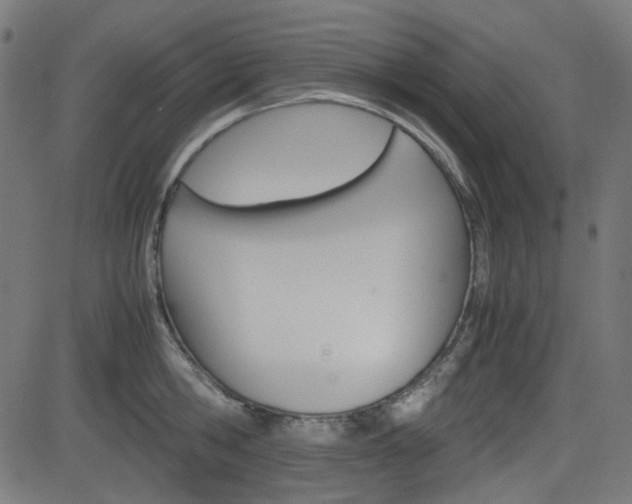 X0000082990806200702011142