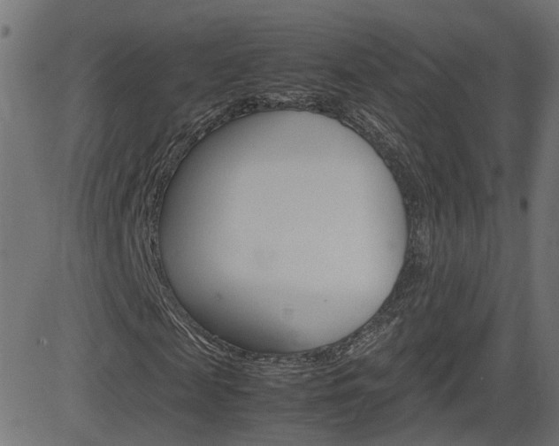 X0000082990817200702011141