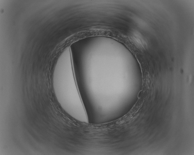 X0000082990821200702011142