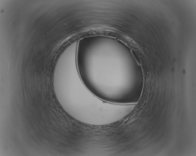 X0000082990822200702011142