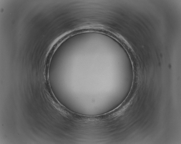X0000082990830200702011142