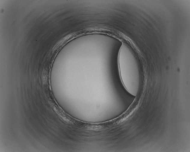 X0000082990833200702011142