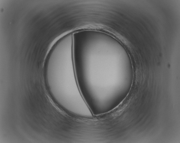 X0000082990838200702011142