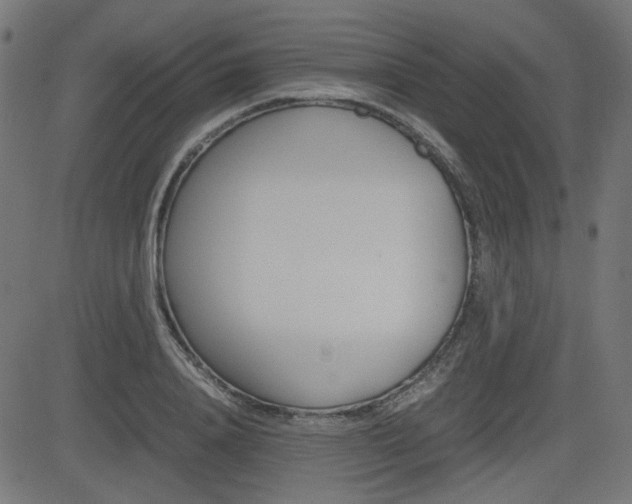 X0000082990840200702011142