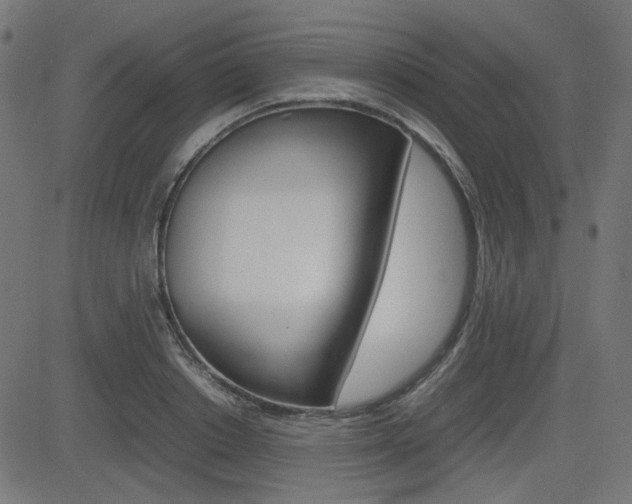 X0000082990842200702011142
