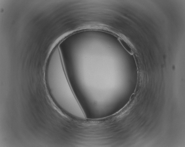 X0000082990846200702011142