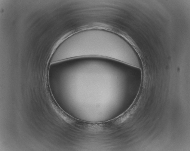 X0000082990850200702011142