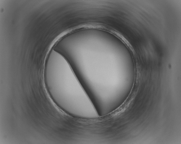 X0000082990853200702011142