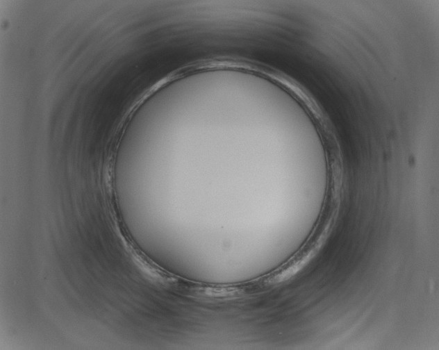 X0000082990857200702011142