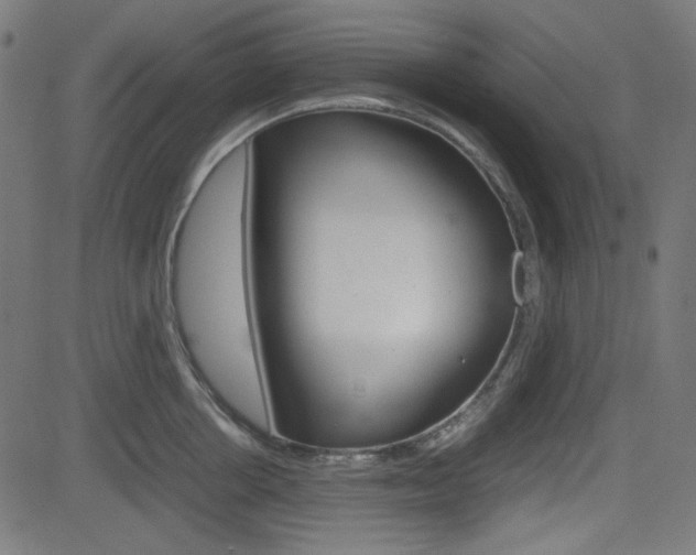X0000082990858200702011142