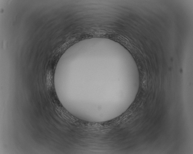 X0000082990866200702011141