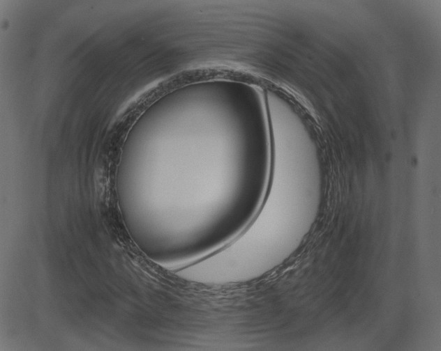 X0000082990872200702011141