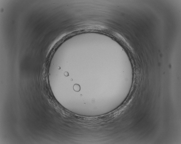 X0000082990875200702011141