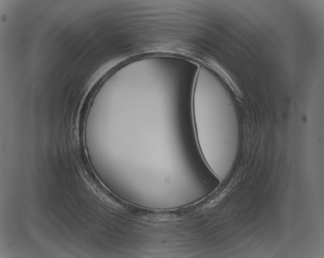 X0000082990884200702011141