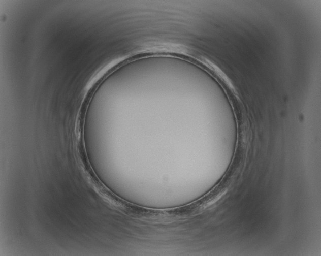 X0000082990885200702011141