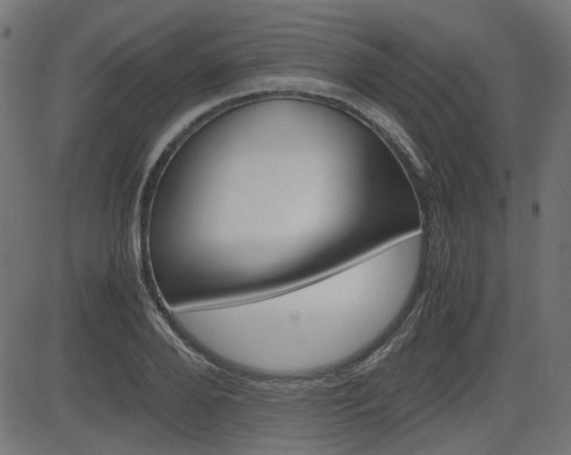 X0000082990888200702011141
