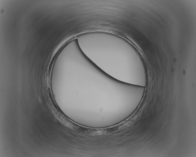 X0000082990891200702011141