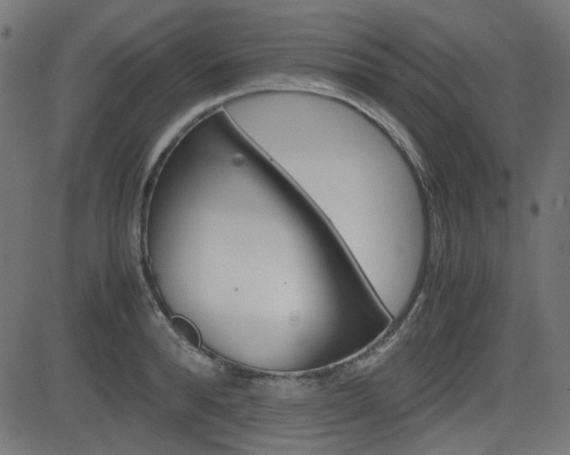 X0000082990896200702011141