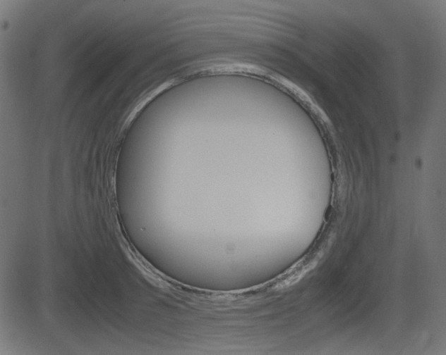 X0000082990897200702011141