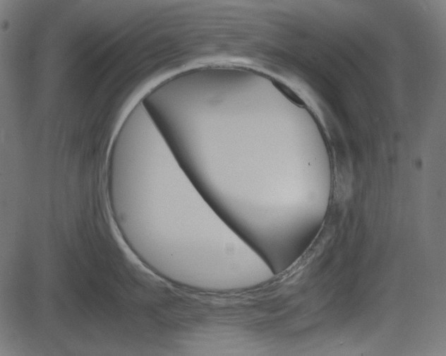 X0000082990911200702011141