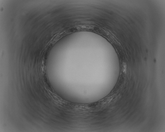 X0000082990915200702011140