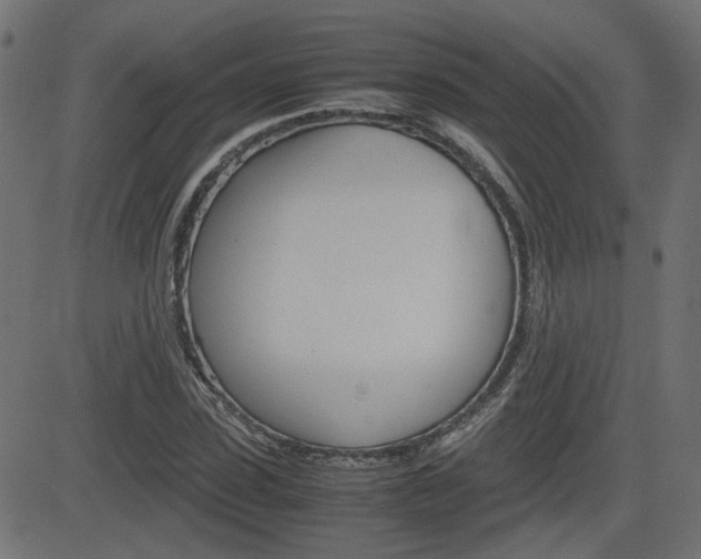 X0000082990923200702011140