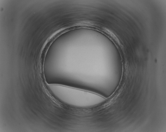 X0000082990931200702011140
