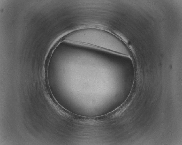 X0000082990932200702011140