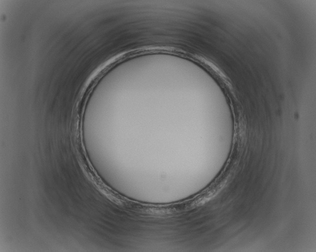 X0000082990933200702011140