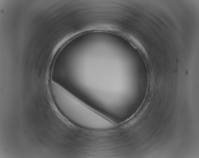X0000082990944200702011140