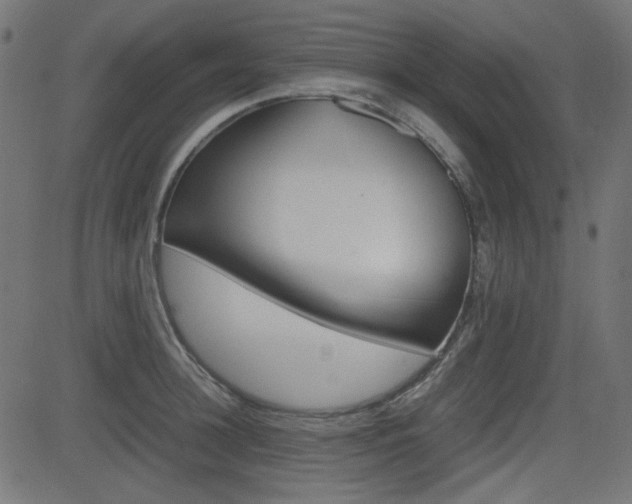 X0000082990948200702011140