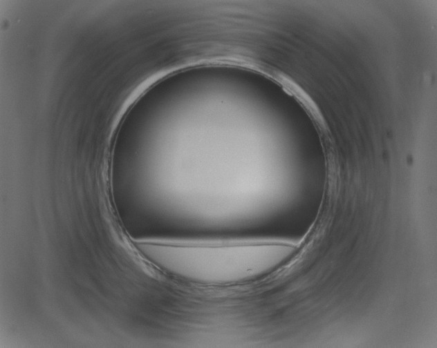 X0000082990956200702011141