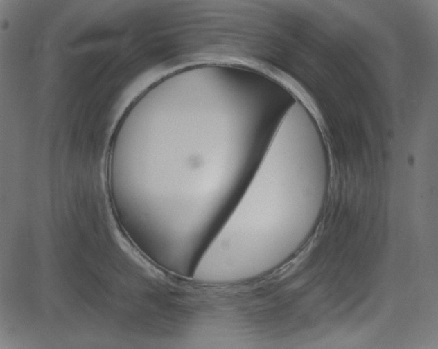 X0000082990958200702011141