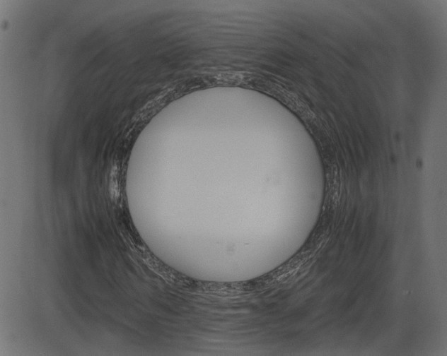 X0000082990962200702011140