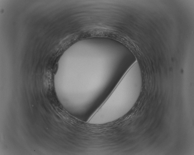 X0000082990964200702011140