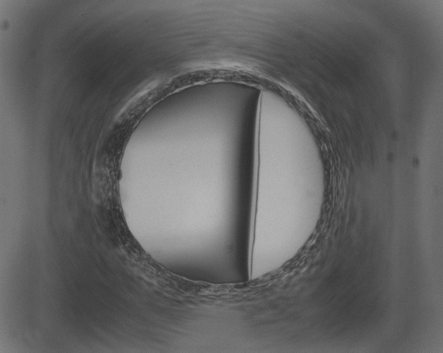 X0000082990967200702011140