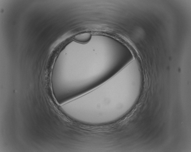 X0000082990971200702011140