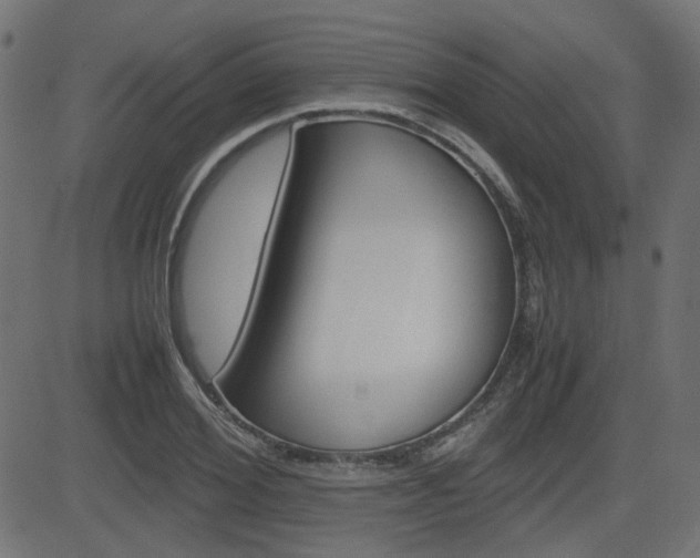 X0000082990980200702011140