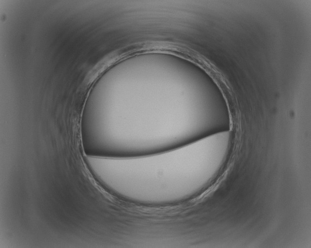 X0000082990985200702011140